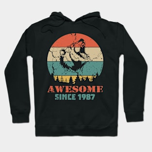 Awesome Since 1987 Year Old School Style Gift Women Men Kid Hoodie